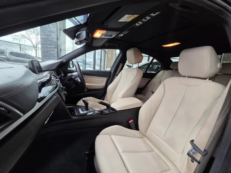 2016 BMW 3 Series 320i M Sport Auto, photo 14