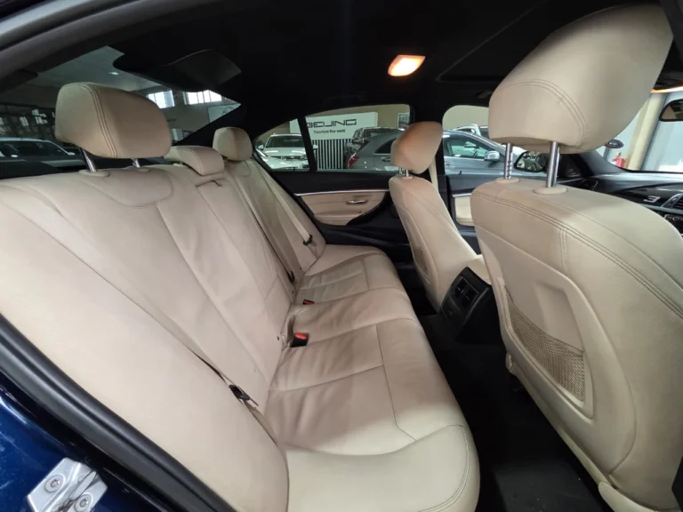 2016 BMW 3 Series 320i M Sport Auto, photo 16