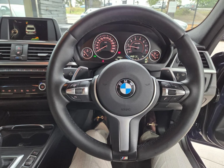 2016 BMW 3 Series 320i M Sport Auto, photo 8