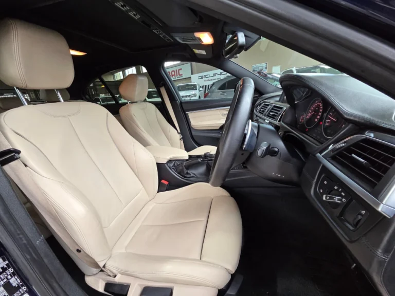 2016 BMW 3 Series 320i M Sport Auto, photo 13